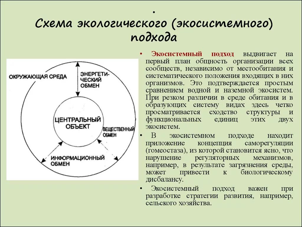 Экосистемный подход. Экосистемный подход в экологии. Схема экологического (экосистемного) подхода. Популяционный и Экосистемный подходы.