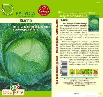 Сорт капусты сесиль