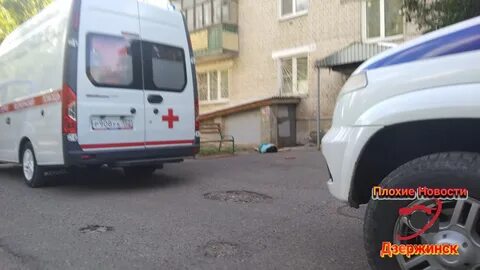 Правда выпасть