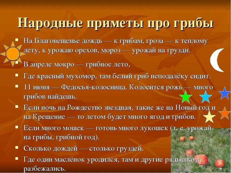 Народные приметы каким будет лето. Народные приметы. Грибные приметы. Приметы про грибы народные. Приметы о грибах 2 класс.