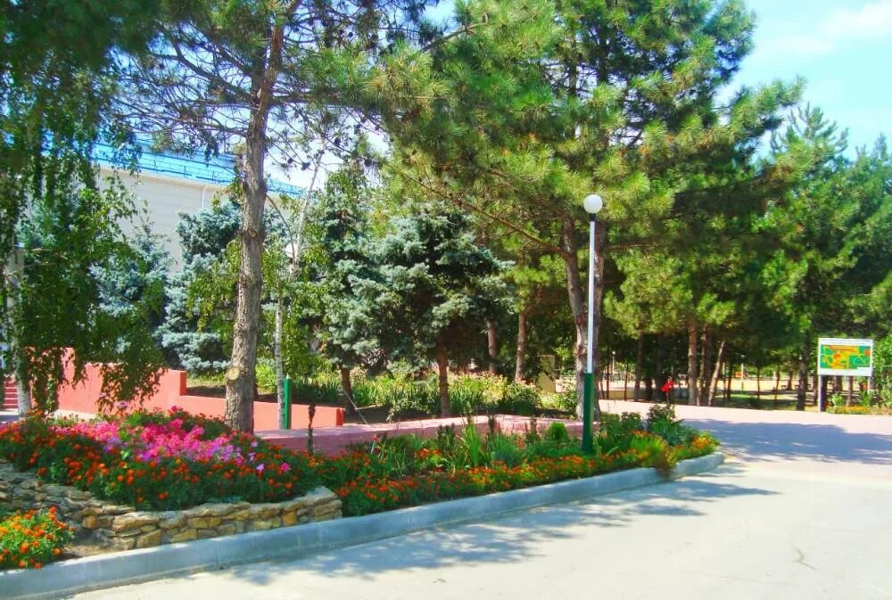 Анапа пионерский проспект пансионат парус. Витязево пионерский проспект. Олимп пионерский проспект. Пансионат рябинушка джемете. Город детей пионерский проспект.