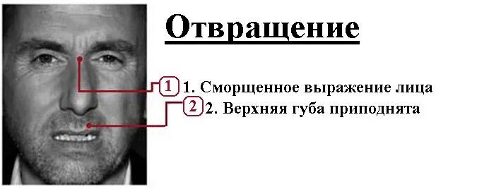 Презреть страх. Презрение эмоция пол Экман. Пол Экман мимика отвращение. Отвращение эмоция пол Экман. Выражение лица отвращение.