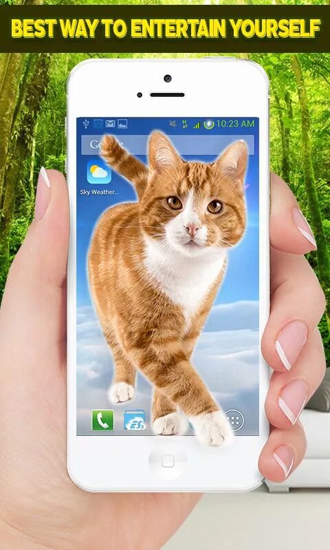 Включи приложение кот. Котики приложения. котики которые ходят по экрану. программа телефона с котиками. животные ходят по экрану телефона.