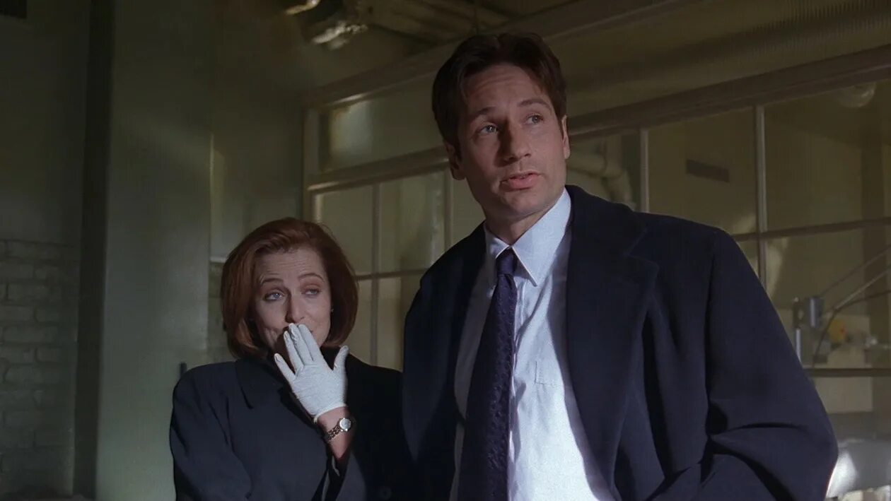 T me x files stealer африка