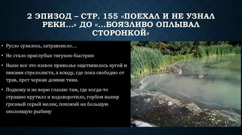 Пока река