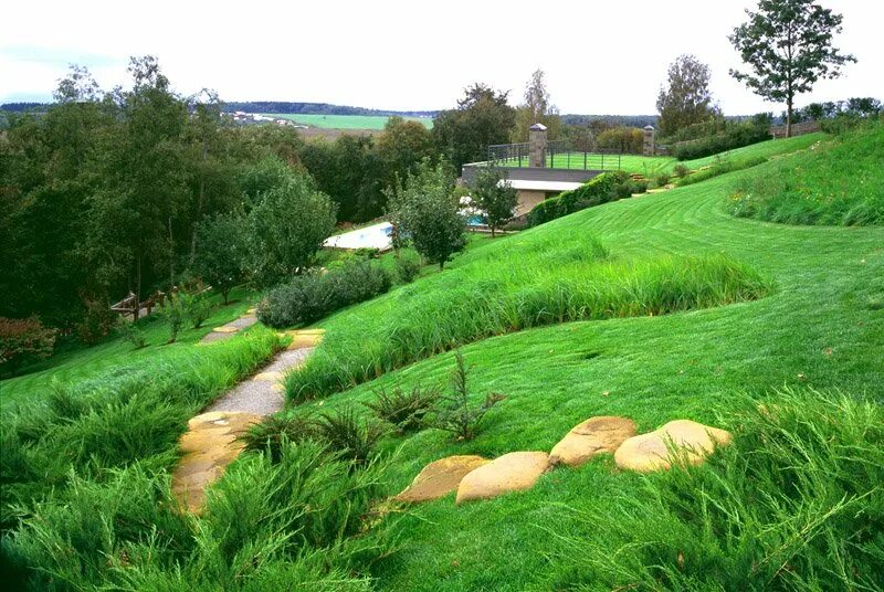Заповедник мозырские овраги. Растение овраг. Беларусь мозырские овраги. Мозырские овраги в белоруссии. Террасирование оврага.