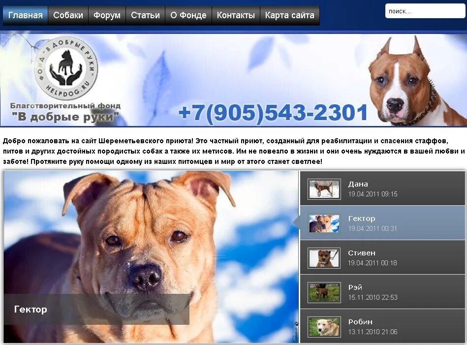 Форум о собаках
