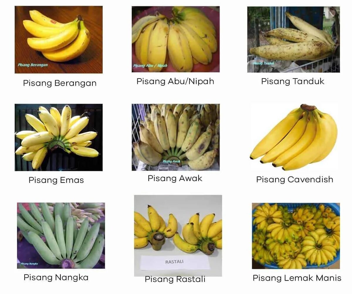 Как будет по английски банан. Upper Pisang. Банан на английском. Зеленые бананы на английском\. Рассказ про банана на английском 2 класс.