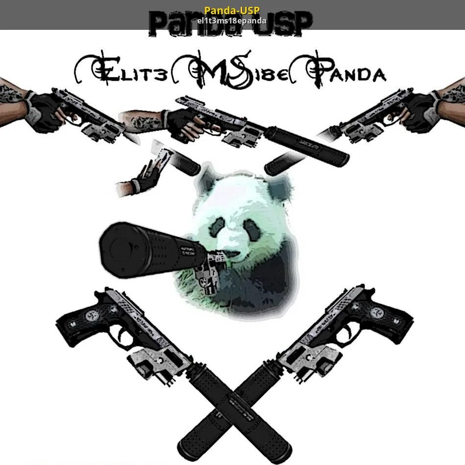 9pandas cs