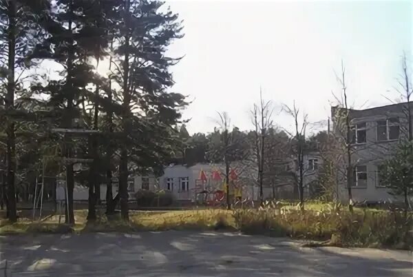 Школа интернат в томилино. Санаторно лесная школа томилино. Санаторно лесная школа томилино. Санаторная лесная школа интернат. Санаторная лесная школа интернат.