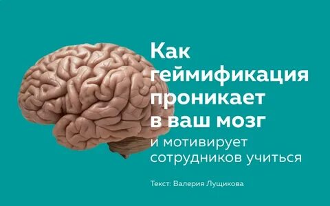 Мозг стоит