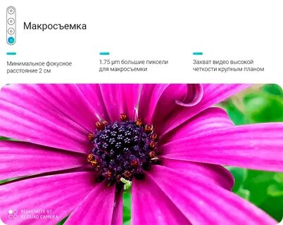 Макросъемка сяоми