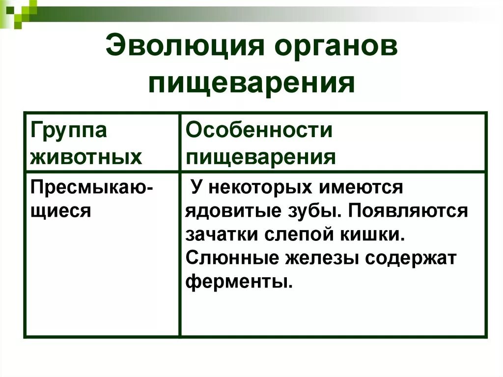 Типы пищеварительной системы у животных. Эволюция пищеварительной системы у беспозвоночных животных. органы пищеварительной системы животных таблица. эволюция пищеварительной системы человека таблица. развитие органов пищеварительной системы.