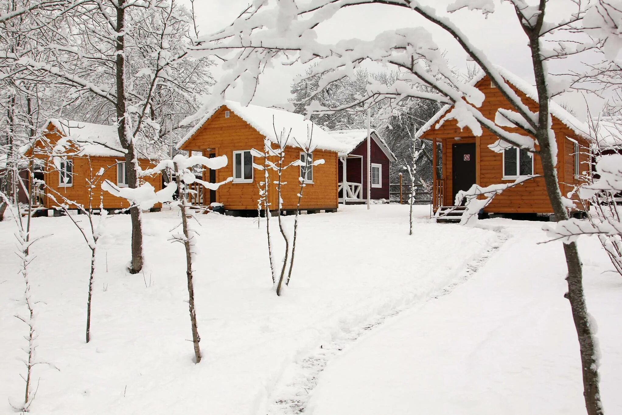 Центральная сочинская набережная. Хутор годовников апшеронского района краснодарского края. Апшеронск краснодарский край. База отдыха старый ясень апшеронский район. Городок краснодарский край.