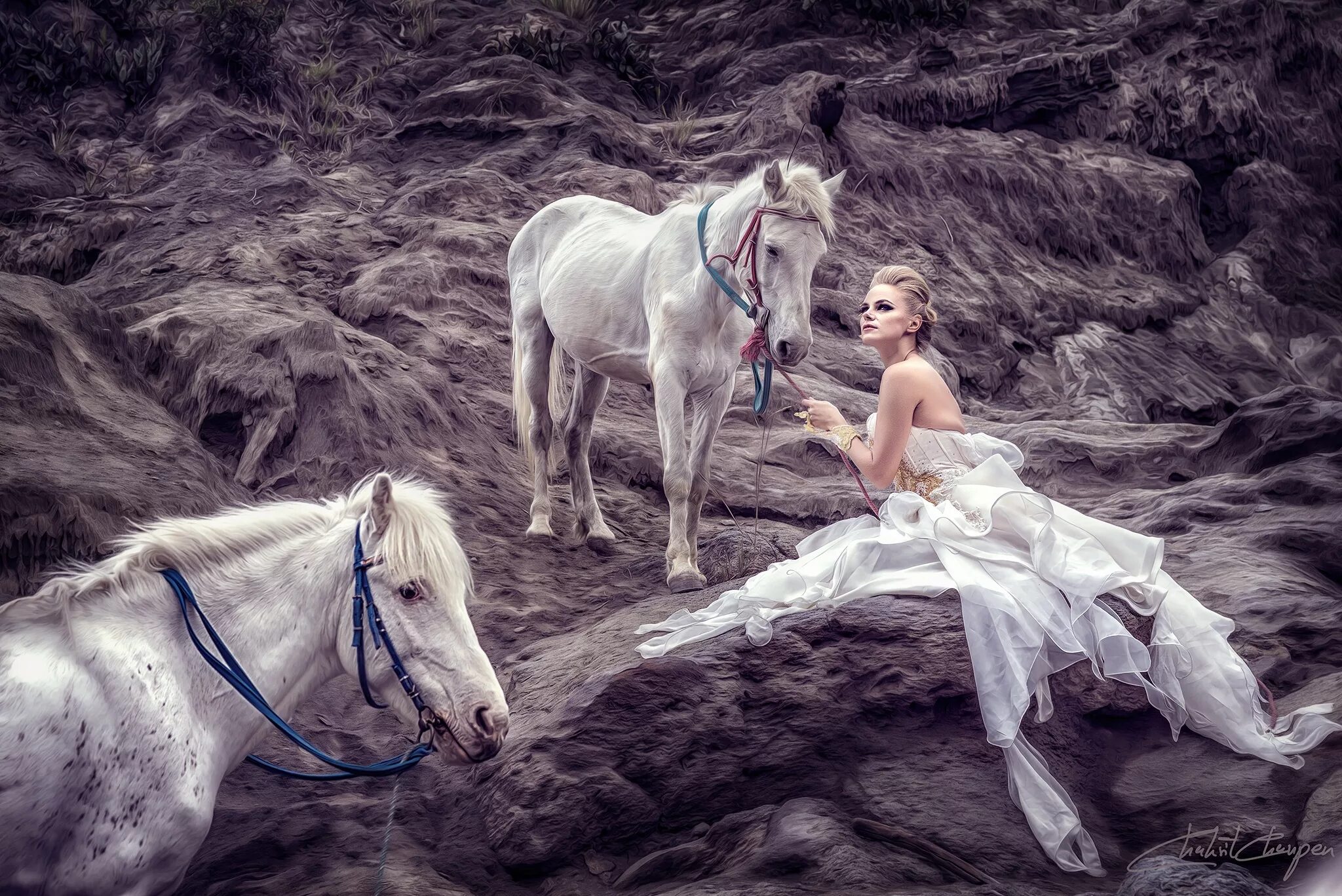 Фотосессия с белой лошадью. Девушка и белая лошадь. Белая лошадь с девочкой. Фотосессия с лошадью в платье.