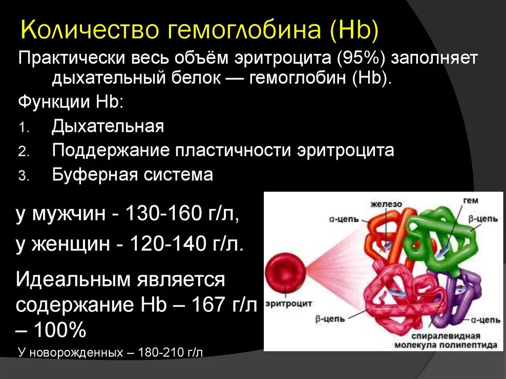 Что значат эритроциты в крови