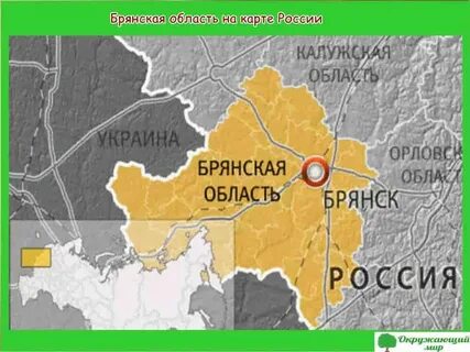 Граница г брянска