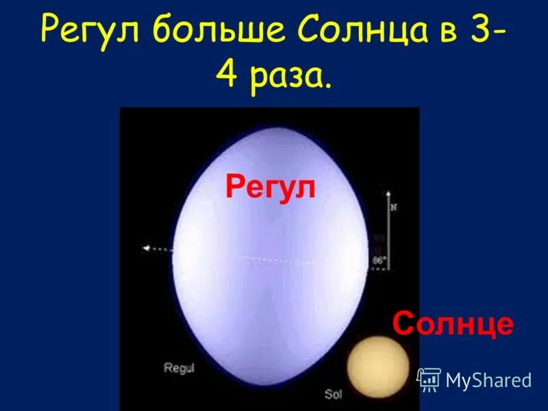 Регул. Регул и солнце. Регул и солнце сравнение. Звезда регул и солнце. Регул солнце сириус