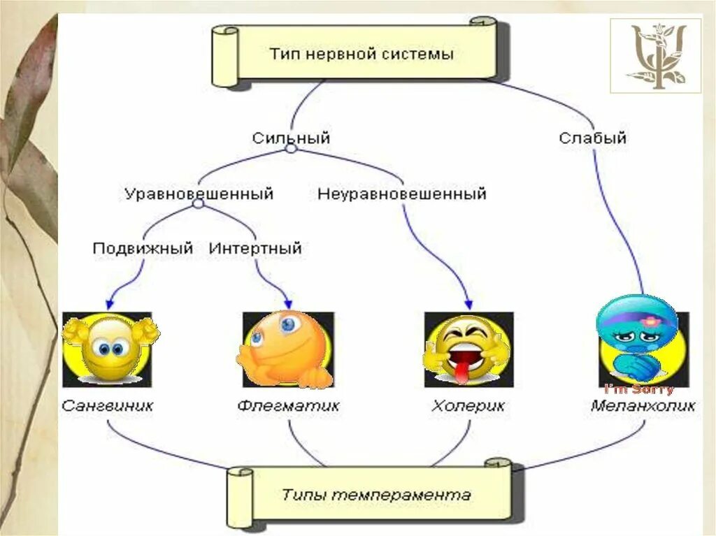 Сильный уравновешенный подвижный тип нервной