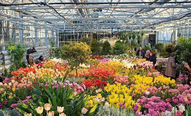 комарик детский сад. частный садик. вакансии частный сад москва. элитный детский сад в москве. вакансии частный сад москва.