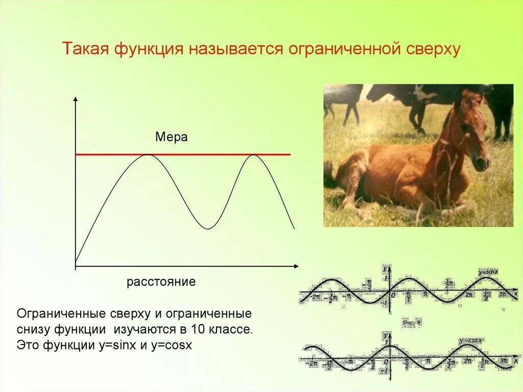 Практическое применение функции. Функции в жизни. Примеры функций в жизни. Применение функции в жизни. Функции в жизни человека примеры.