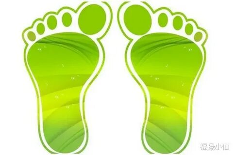 Моңғол жезөкшелерінің суреттері