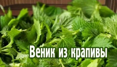 Крапива в бане