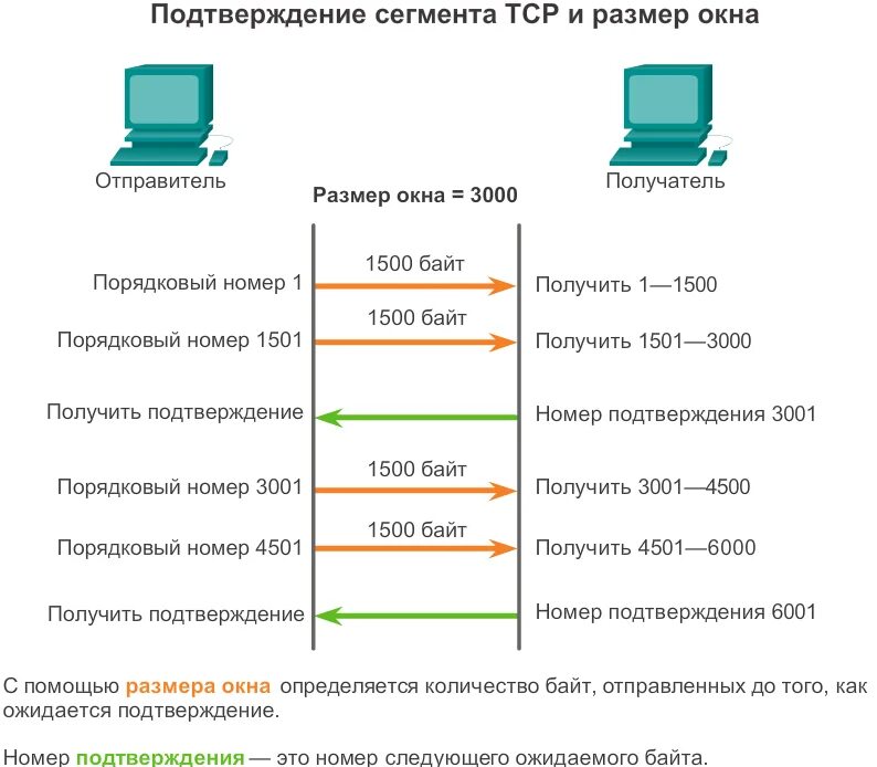 Размер TCP сегмента. Подтверждение пакетов TCP. Размер заголовка TCP. TCP окно.