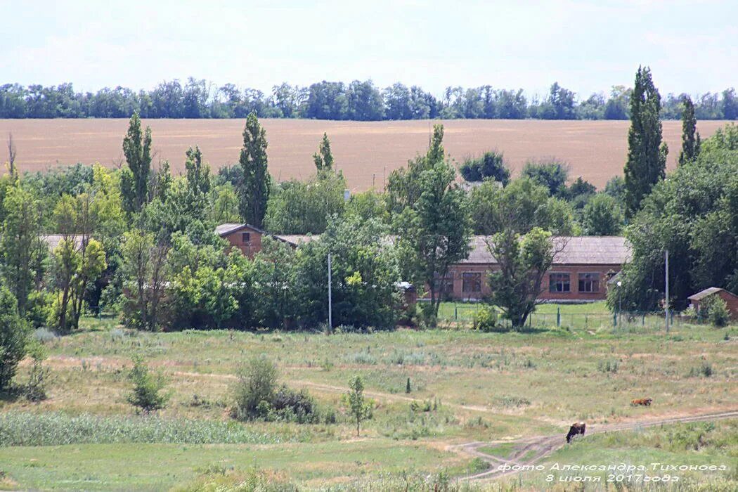 Х родники. Хутор Родники Кагальницкий район. Хутор Родники Ростовская область. Хутор Родники Кагальницкий район Ростовская область. Х.Родники Кагальницкого района Ростовской обл.