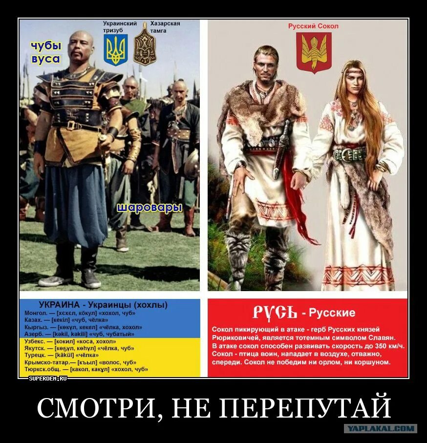 Поляки славяне или нет. Украинцы славяне. хохлы &quot;славяне&quot;. украинцы не славяне. русские и украинцы не славяне.