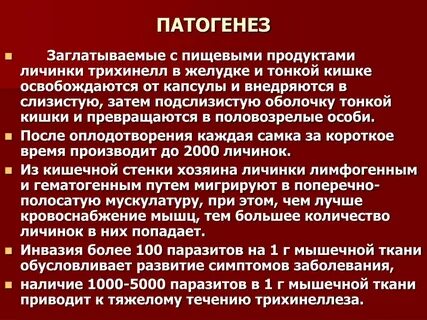 Трихинеллез аскаридоз