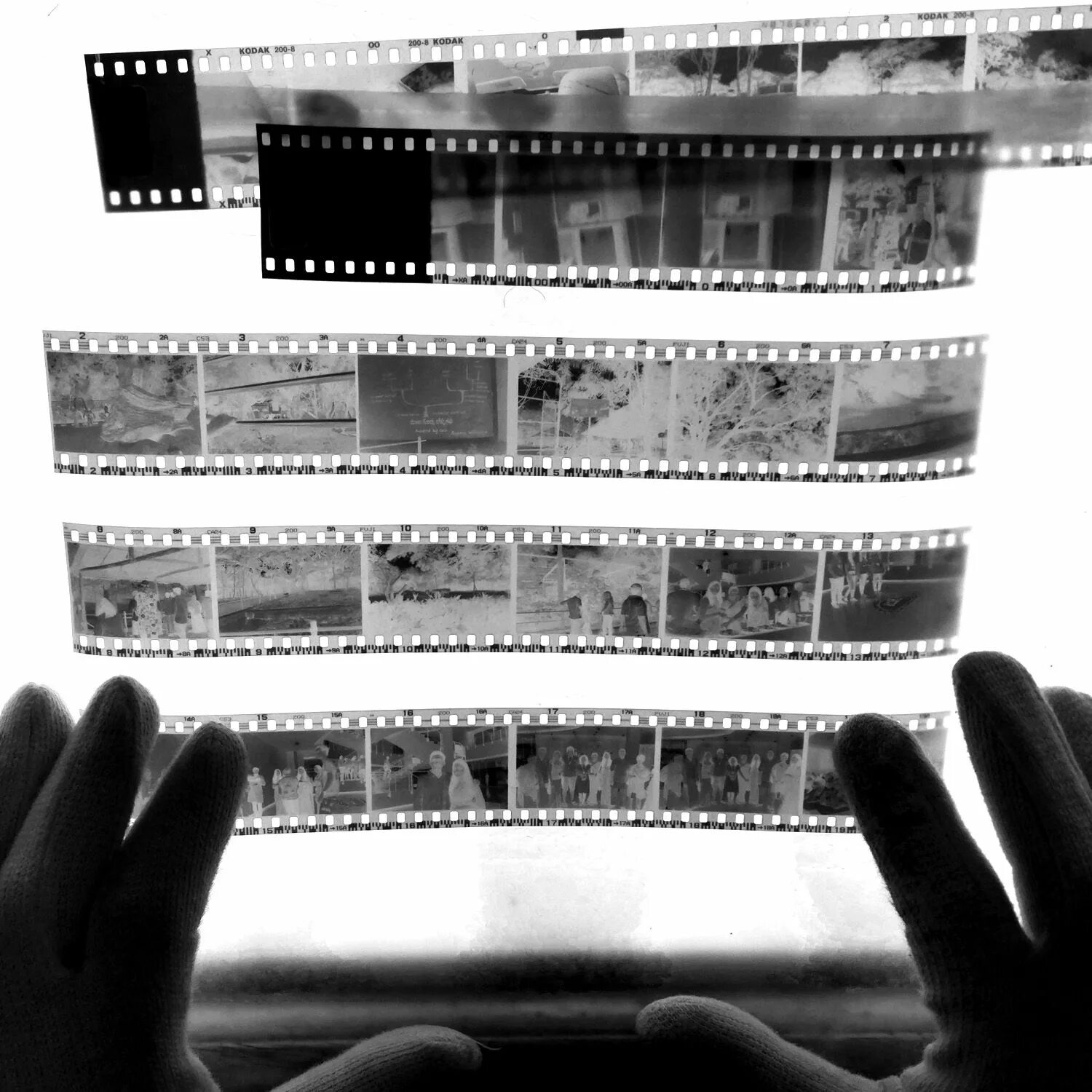 Черно белый скан в цветной. Оцифровка пленочных фотографий. негативная черно-белая фотопленка. сканированные изображения с негативной пленки. пленочный коллаж.
