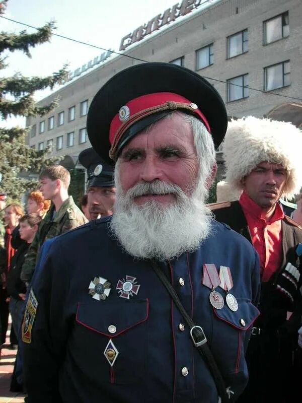 харьков казаки. черноморские казаки на кубани. алексей селиванов верное казачество. верное казачество. казачество в ивановской области.