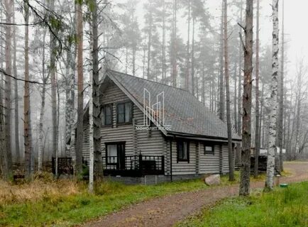 Хутор майнило