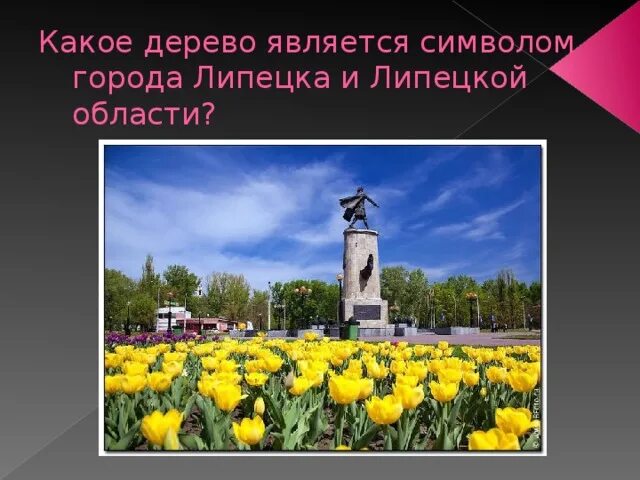 Что является символом лета. Что является символом лета