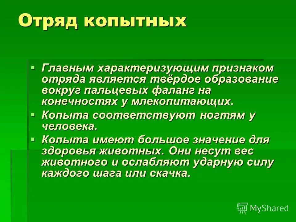 Отряд копытные общая характеристика кратко. Признаки отряда. Признаки характеризующие человека как животного. Признаки отряда человека.