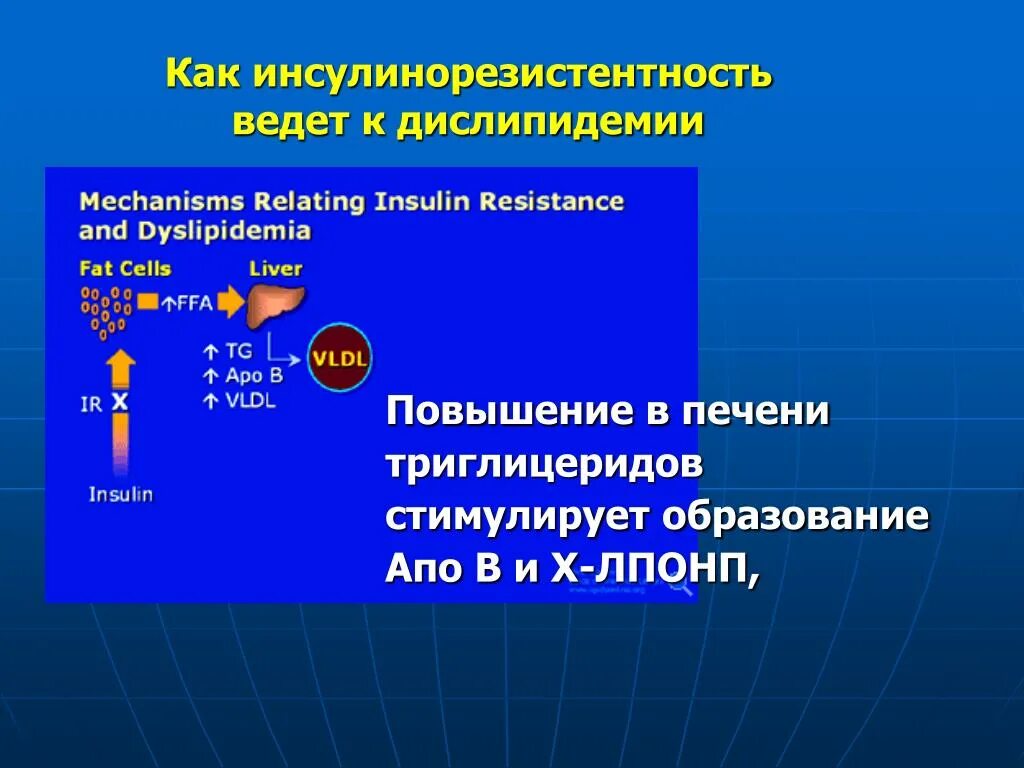 Как бороться с инсулинорезистентностью