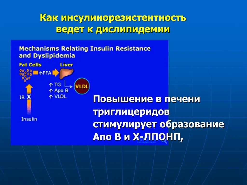 Инсулинорезистентность. Маркеры инсулинорезистентности. Кожные проявления инсулинорезистентности. Печеночная инсулинорезистентность.