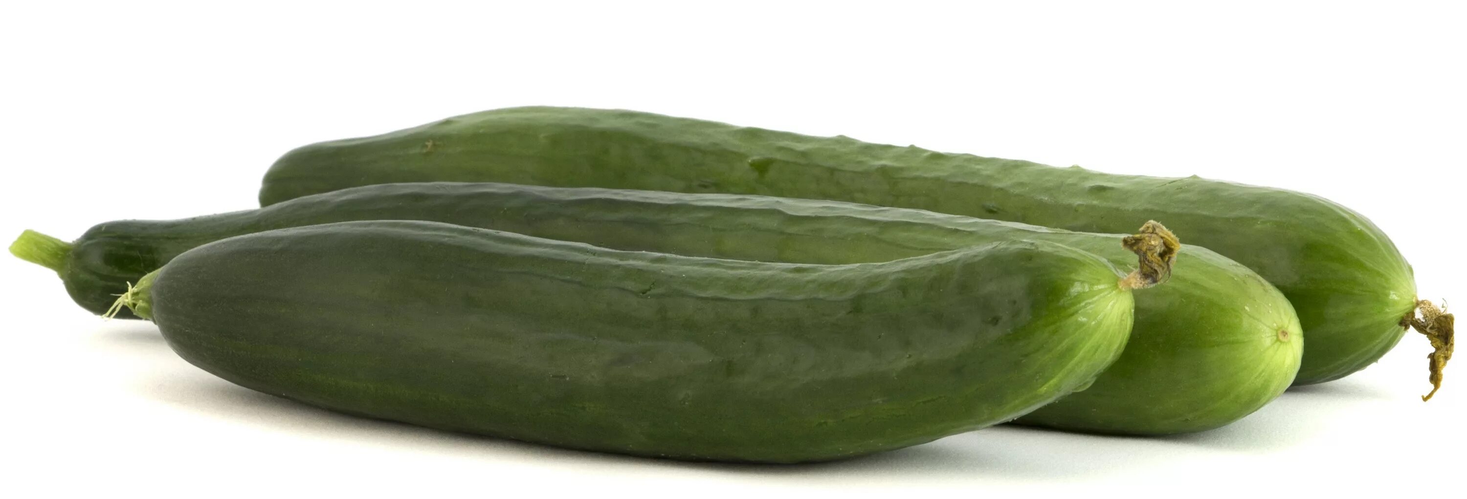Гладкий длинноплодный огурец сорт. Длинноплодный сорт огурцов. Огурцы длинноплодные китайские. Длинноплодный сорт огурцов. Огурец гладкий тихвинский длинноплодный.