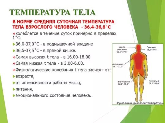 Какую температуру тела понижать. Показатели температуры тела человека. нормальные показатели температуры тела человека. норма температуры человеческого тела. температура тела человека норма в таблице.