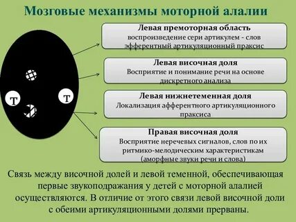 Механизм нарушения при моторной алалии