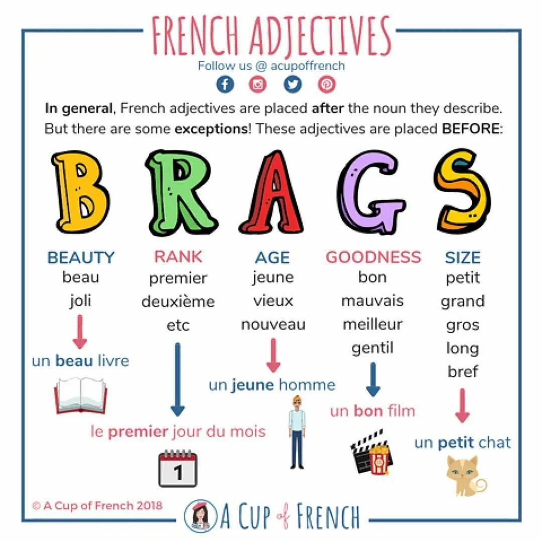 A Cup of French. Adjectives во французском. Adjectifs qualificatifs во французском. Изучение французского языка картинки. Replace adjective