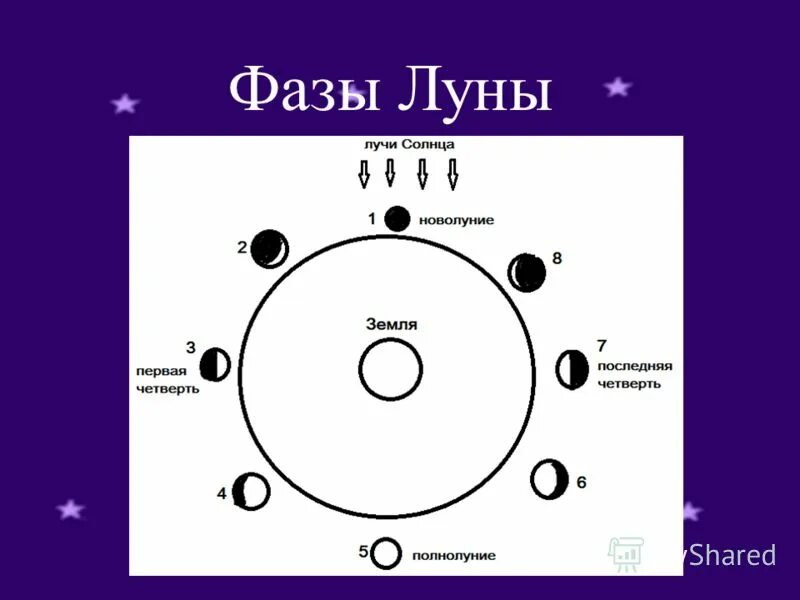 12 новолуний. Фазы Луны. Новолуние в астрологии. Фазы Луны астрология. Цикл лунных фаз.