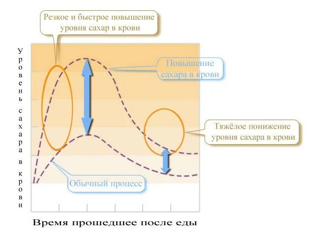 На сколько поднимается сахар после. Динамика Глюкозы в крови после еды. Повышение уровня сахара в крови после еды. Динамика сахара в крови после еды. Как изменяется уровень Глюкозы в крови после еды.