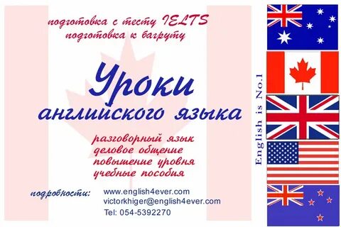 Урок иностранного языка книга