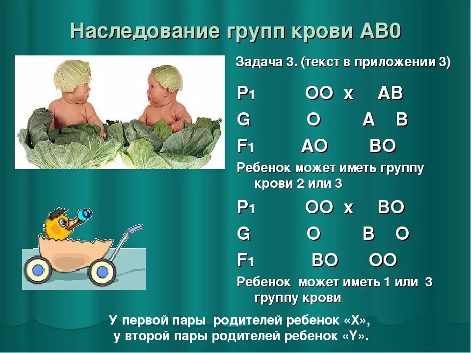 Наследование групп крови по системе аво таблица фото - PwCalc.ru
