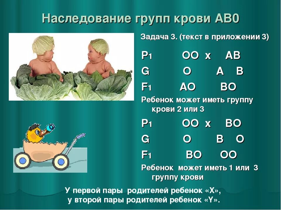 Наследуемые группы крови. Наследование групп крови. Наследование групп крови у человека. Наследование групп крови по системе АВО. Наследование групп крови у человека таблица.