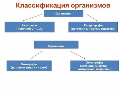 Для чего классифицируют организмы биология