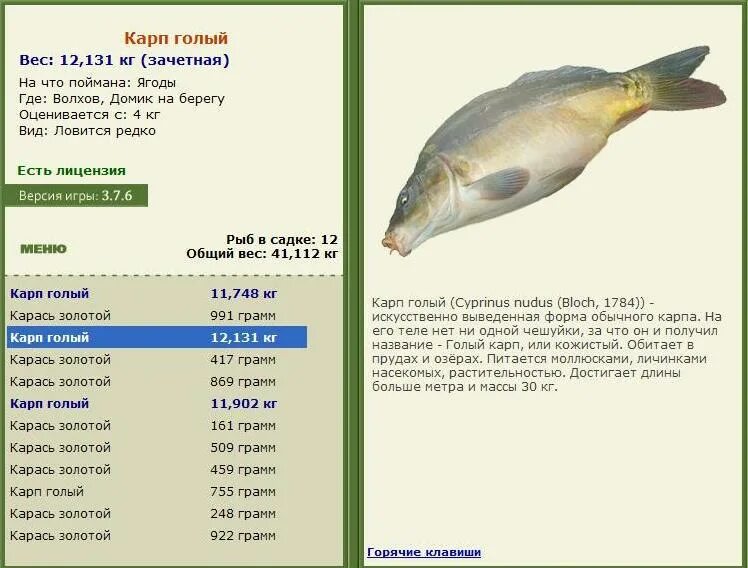 Ловит тест