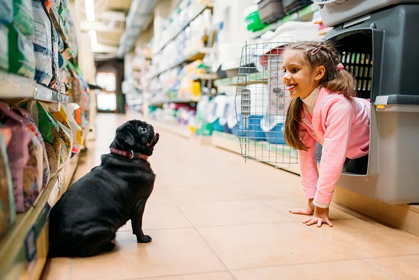 Можно с собаками в продуктовый магазин. Девочка в зоомагазине. Девочка Puppy Play. Животные в супермаркете. Фотографии little West Pet shops.